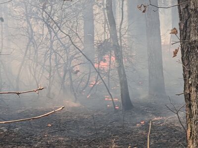 New Jersey Controlled Burning Smells in Montco